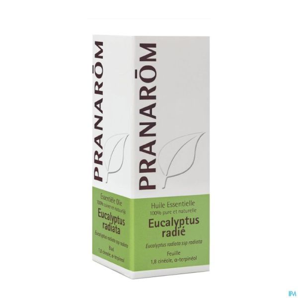 Eucalyptus radiata hle ess 10ml pranarom